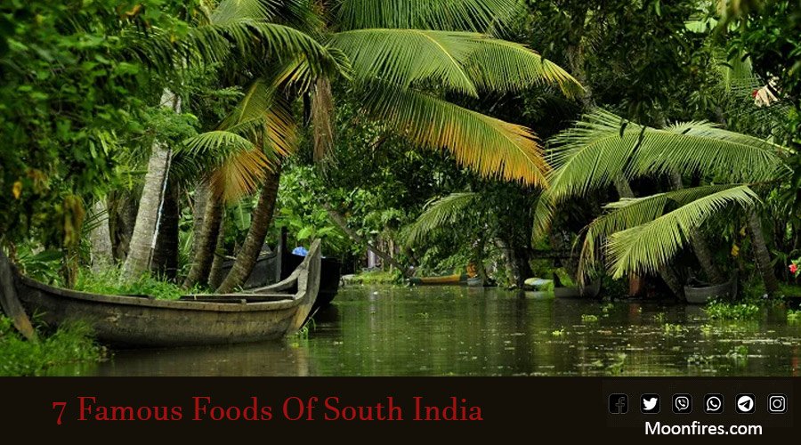 7 Famous Foods Of South India - Moonfires