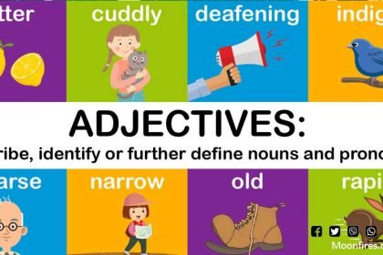 The Power of Adjectives