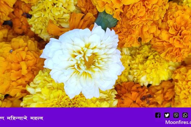 श्रावण महिन्याचे महत्त्व
